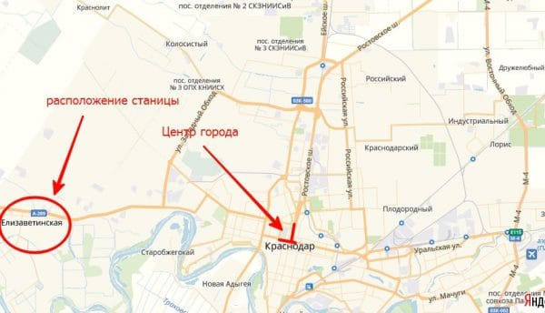 расположение станицы Елизаветинской на карте Краснодара